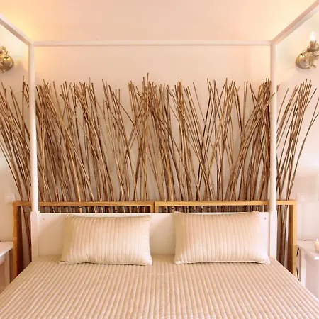 Apartment T2